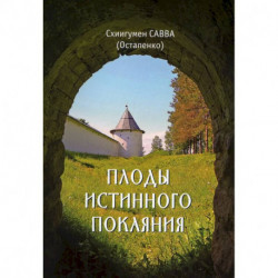 Плоды истинного покаяния. Савва (Остапенко), схиигумен