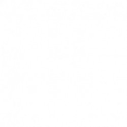 Близкие контакты далеких предков: Как эволюционировал наш вид