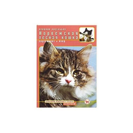 Норвежская лесная кошка. Содержание и уход