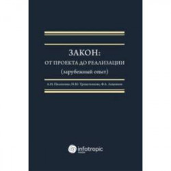 Закон. От проекта до реализации (зарубежный опыт). Монография