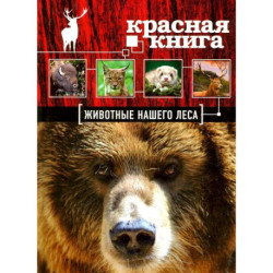 Красная книга. Животные нашего леса