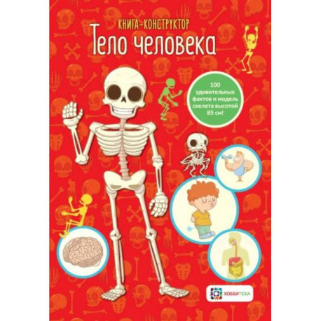 Тело человека.  Книга - конструктор