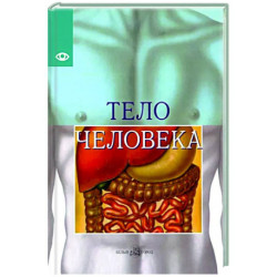 Тело человека