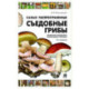 Самые распространенные съедобные грибы. Справочник-определитель начинающего грибника