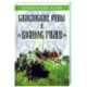Славянские руны и 'Боянов гимн'
