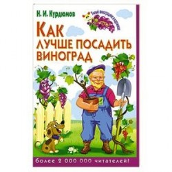 Умный виноградник в картинках. Как лучше посадить виноград