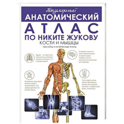 Популярный анатомический атлас по Никите Жукову: кости и мышцы. Инсайты и интересные факты