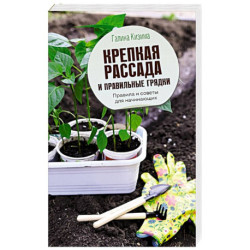 Крепкая рассада и правильные грядки. Правила и советы для начинающих