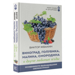 Виноград, голубика, малина, смородина и другие любимые ягоды. Особенности выращивания своими руками