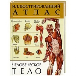 Человеческое тело. Иллюстрированный атлас