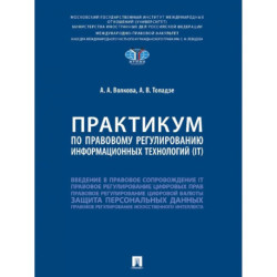 Практикум по правовому регулированию информационных технологий (IT)