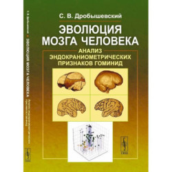 Эволюция мозга человека. Анализ эндокраниометрических признаков гоминид