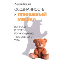 Осознанность и плюшевый мишка. Вопросы и ответы по укрощению твоего дикого ума