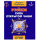 Рэйки. Сила открытой чаши