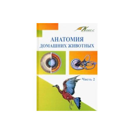 Анатомия домашних животных. Учебник. Часть 2