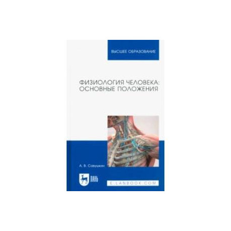 Физиология человека. Основные положения