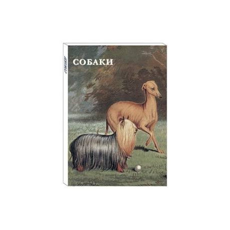 Собаки