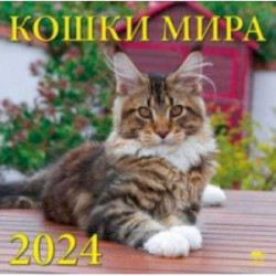 Календарь на 2024 год. Кошки мира