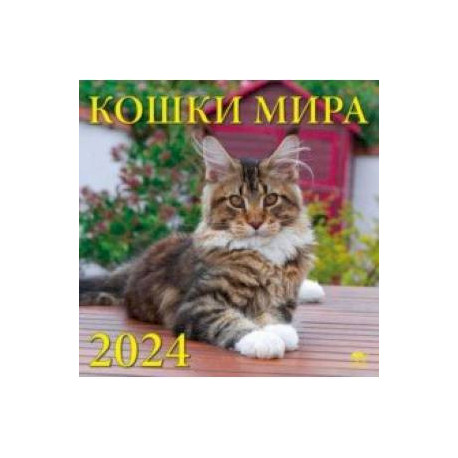 Календарь на 2024 год. Кошки мира