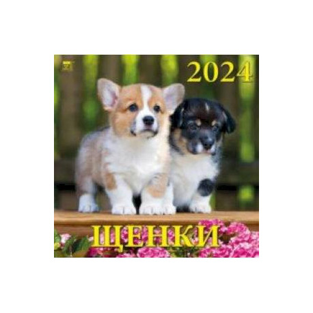 Календарь на 2024 год Щенки