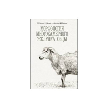 Морфология многокамерного желудка овцы. Монография