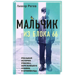 Мальчик из Блока 66. Реальная история ребенка, пережившего Аушвиц и Бухенвальд