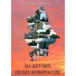 На жгучих полях Новороссии