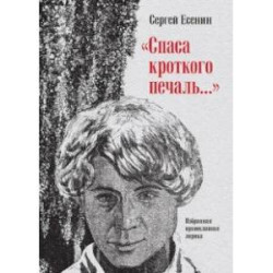 'Спаса кроткого печаль...' Избранная православная лирика
