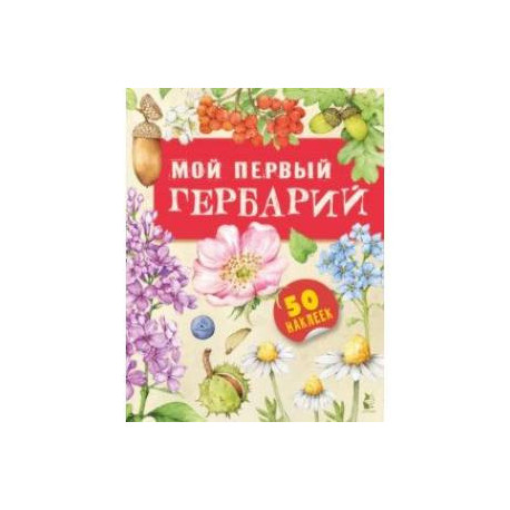 Мой первый гербарий