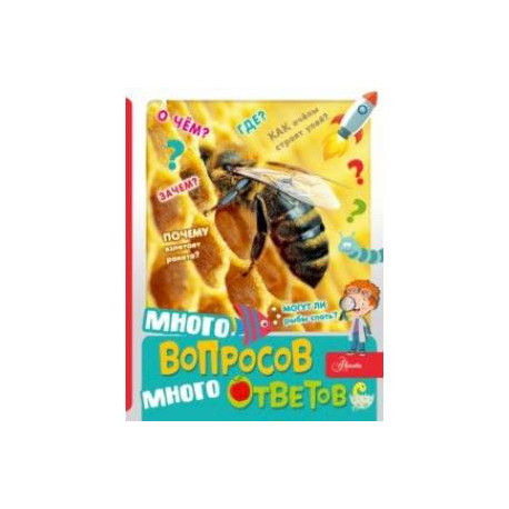 Много вопросов, много ответов