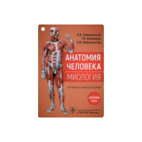 Анатомия человека. Миология. Комплект карточек. Наглядное учебное пособие