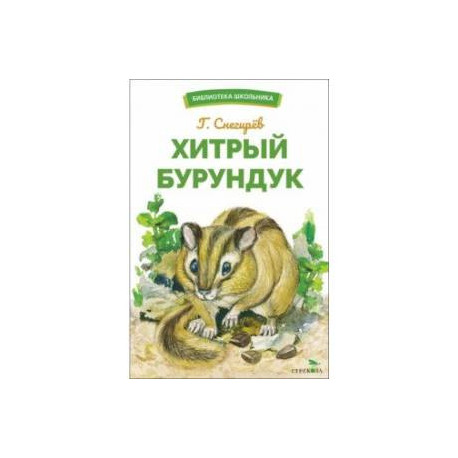 Хитрый бурундук
