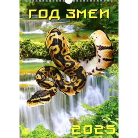 Календарь настенный на 2025 год Год змеи