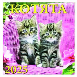 Календарь настенный на 2025 год Котята
