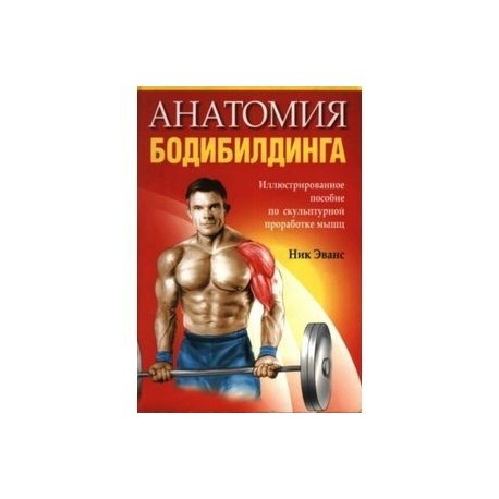 Анатомия бодибилдинга