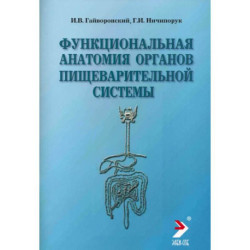 Функциональная анатомия органов пищеварительной системы (строение, кровоснабжение, иннервация, лимфоотток): Учебное