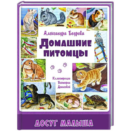 Домашние питомцы