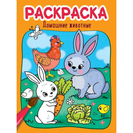 Раскраска. Домашние животные
