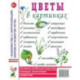 Цветы в картинках. Наглядное пособие для педагогов, воспитателей, логопедов и родителей