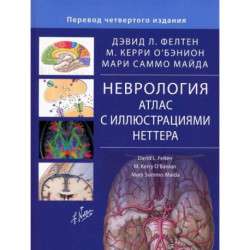 Неврология. Атлас с иллюстрациями Неттера