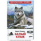 Белый клык