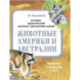 Животные Америки и Австралии. Наглядно-дидактический материал