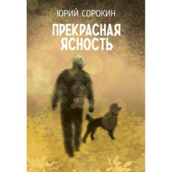 Прекрасная ясность