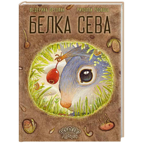 Белка Сева