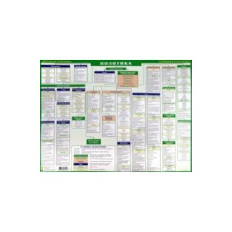 Политика. Готовимся к экзаменам