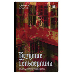 Безумие Гёльдерлина. Жизнь, поделенная надвое