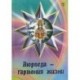 Аюрведа — гармония жизни