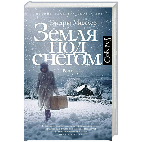 Земля под снегом