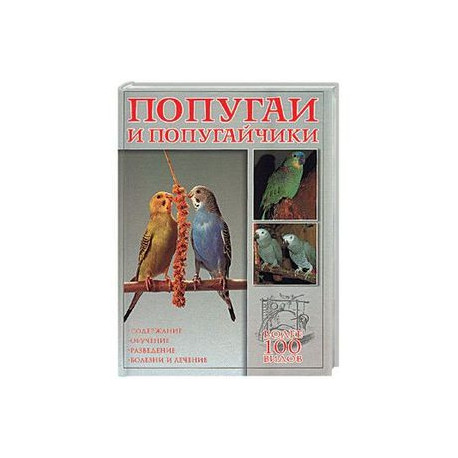 Попугаи и попугайчики