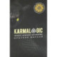 KARMALOGIC. Краткая версия